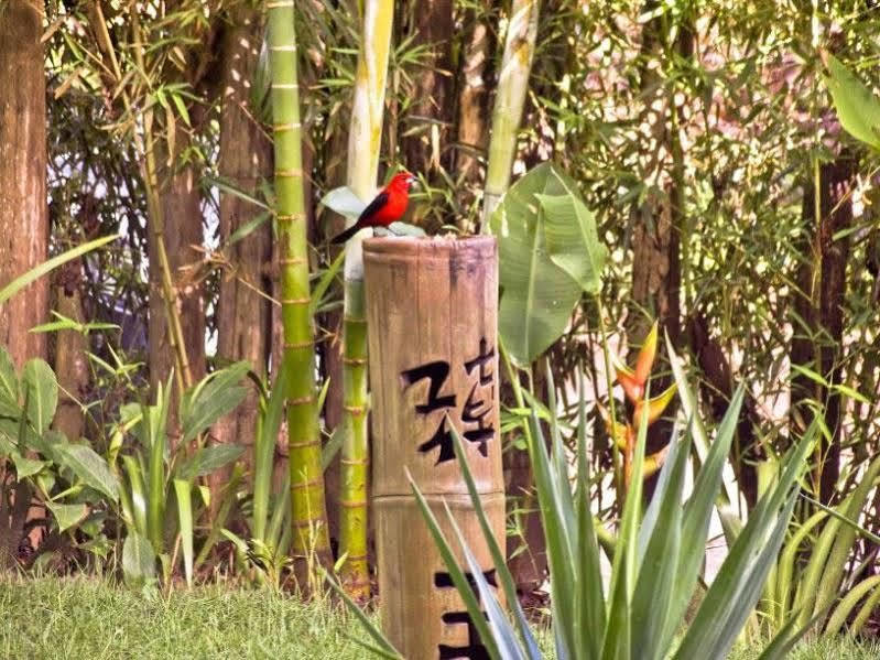 Pousada Bambu Itacaré Extérieur photo